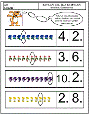 okul öncesi sıralama kavram çalışmaları